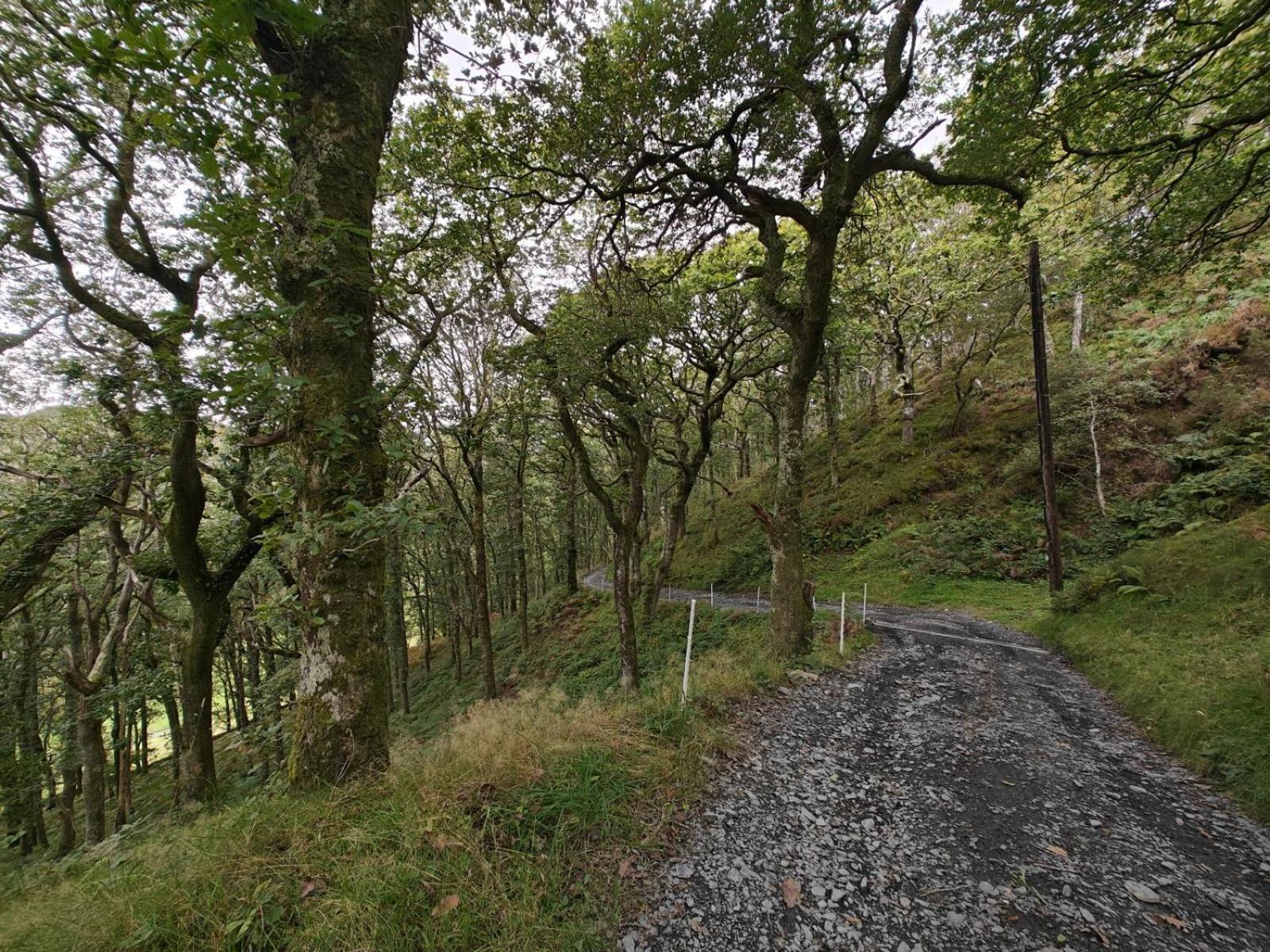 Pandy Farmhouse - Panoramic Mountain Views Within Snowdonia'S National Park - 4X4 Recommended Dolgellau Eksteriør bilde