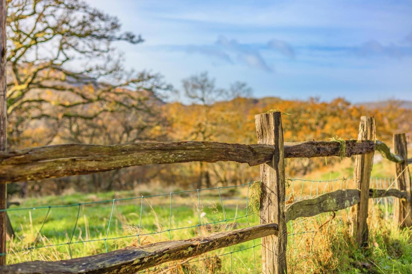 Pandy Farmhouse - Panoramic Mountain Views Within Snowdonia'S National Park - 4X4 Recommended Dolgellau Eksteriør bilde